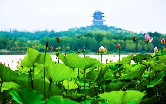 中國(guó)文旅產(chǎn)業(yè)的市場(chǎng)潛力龐大，未來(lái)市場(chǎng)空間有望達(dá)到2萬(wàn)億元