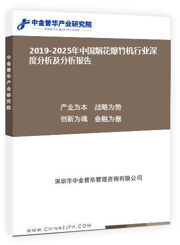 2019-2025年中國煙花爆竹機(jī)行業(yè)深度分析及分析報告
