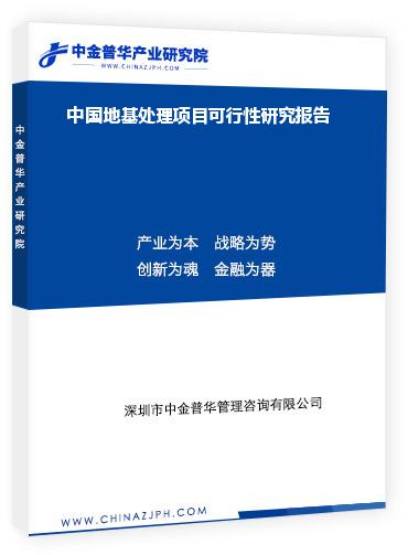 中國地基處理項(xiàng)目可行性研究報告